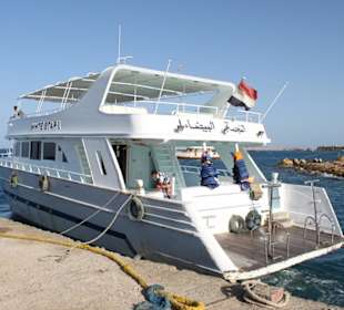 Unser Schiff bei der Delfintour