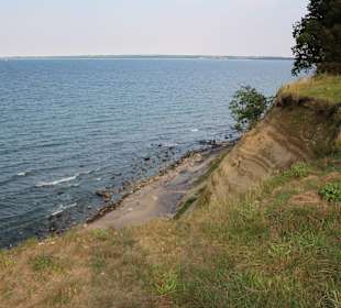 Nisthöhlen der Uferschwalben