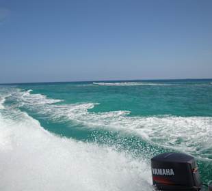 Fahrt zur Lagune, schnorcheln ist angesagt