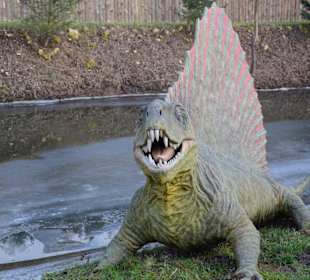 Jurapark w Bałtowie