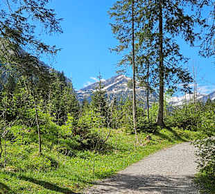 Wandern Tannheim 