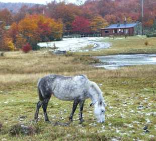 Parque Nacional Tierra del Fuego