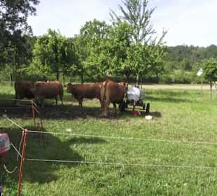 Hohenloher Freilandmuseum