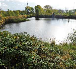 Blick vom Aussichtsturm über gesperrte Bereiche