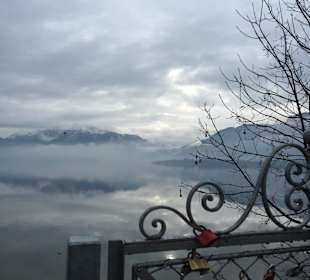Der See