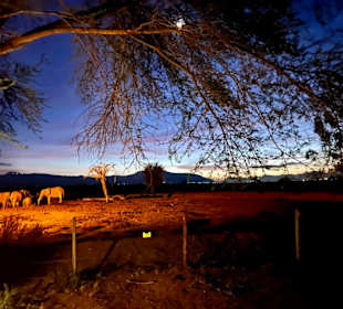 Nacht in der Sentrim Lodge Tsavo Easto East