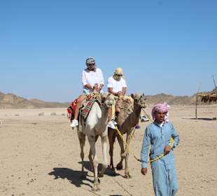 Reiten & Kamelreiten Dana Beach