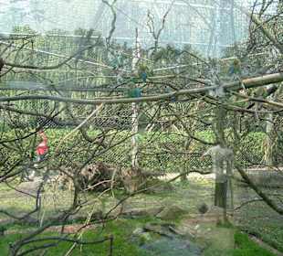 Freizeitpark