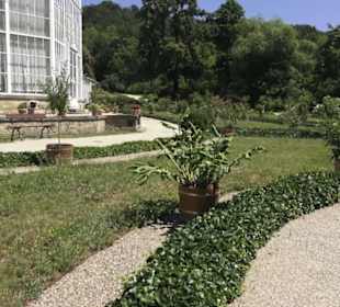 Holländischer Garten