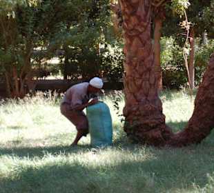 Personal bei der Arbeit