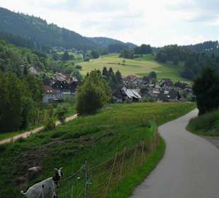 Ausblick auf Lenzkirch