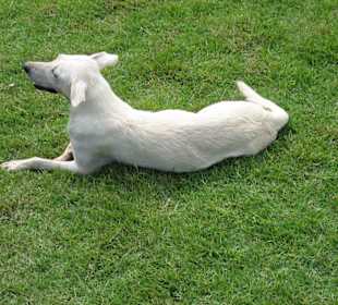 Meine Freundin Nankita