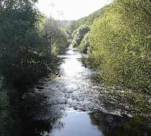 Blick auf die Urft in Gemünd