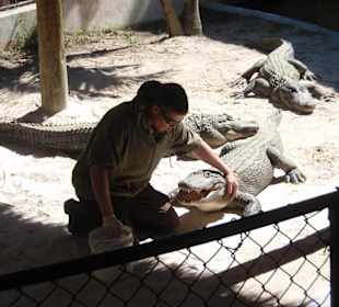 Everglades Safari Park