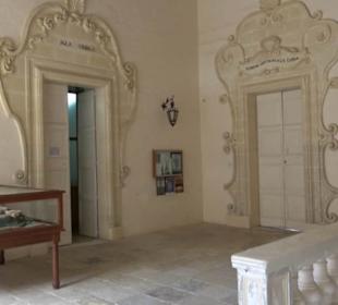 Naturhistorisches Museum