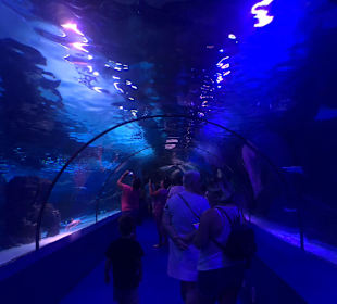 Aquarium Antalya