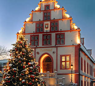 Weihnachtsbaum am hist. Rathaus