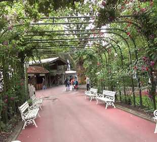 Themenbereich Deutschland