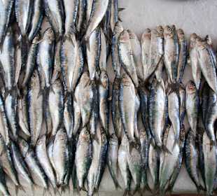 Ryby sprzedawane w porcie