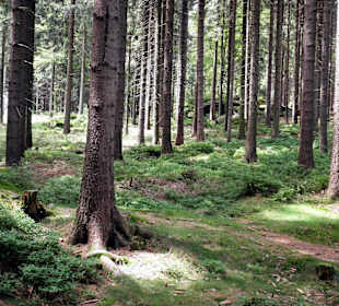 Wanderweg beim Hotel