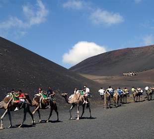 Kamelkarawane im Timanfaya Nationalpark