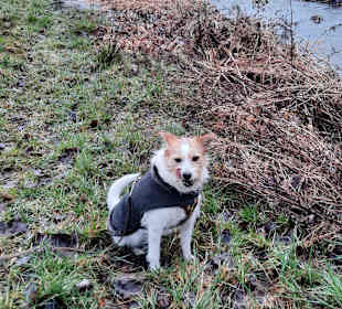Wandern Schalkenmehren