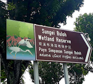 Wetland Reserve Park