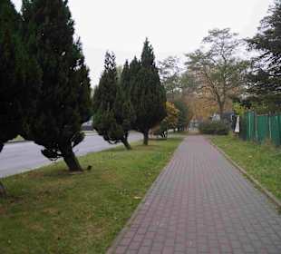 Altstadt Kolberg