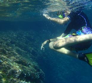 Nurkowanie na wyspie Sv. Nikola