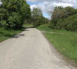 Naturdenkmal Klafertlinde