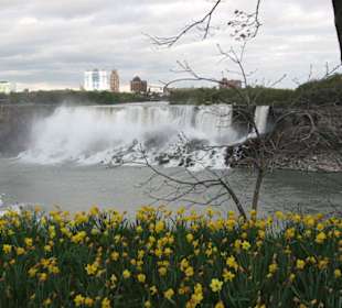 Blick auf American Falls