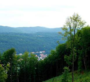Das Oberbecken Happurger Stausee