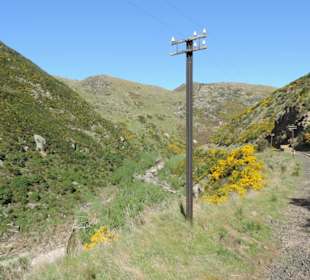 Mitder Taileri Railway durch die Natur Neuseelands