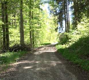 Magolsheimer Buchtalweg