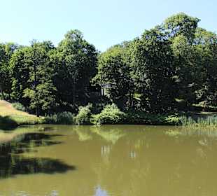 Łazienki królewskie, park