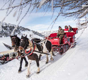Skifahren