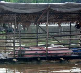 Schwimmender Saustall