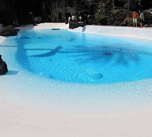 Jaskinia Jameos del Agua Cesar Manrique