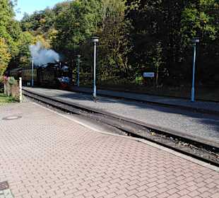 Wandern Alexisbad