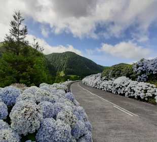 Inselrundfahrt Sao Miguel