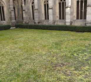 Gewürz- und Kräutergarten