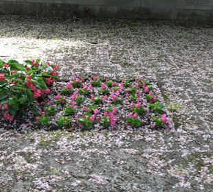 Gefallenendenkmal am Friedhof Holzhausen