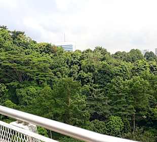 Ausblick