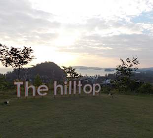 The Hilltop