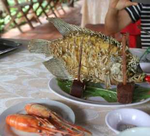 Spezialität Elefantenohrfisch