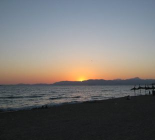 Abenddämmerung