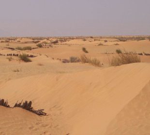 Sandwüste