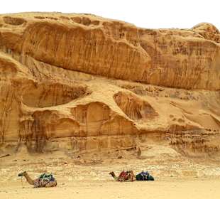 Wüstenlandschaft Wadi Rum