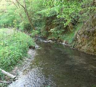Premiumwanderweg Hochgehschätzt