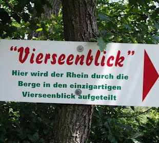 Vierseenblick auf den Rhein